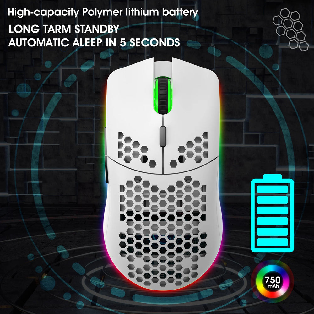 HXSJ T66 RGB Wireless Gaming Mouse | 2.4G Rechargeable Adjustable DPI Ergonomic